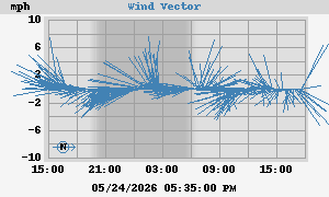 Wind Vector
