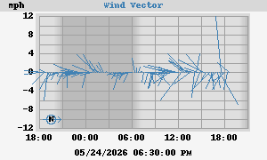Wind Vector